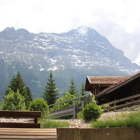 Деревянный коттедж Elements *